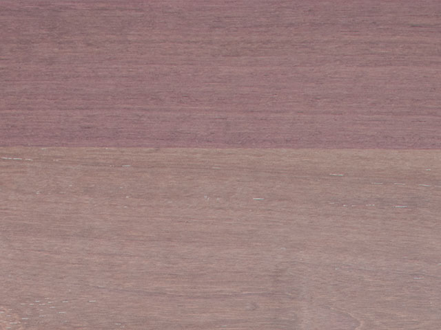 purple-hart-thumbnail.jpg