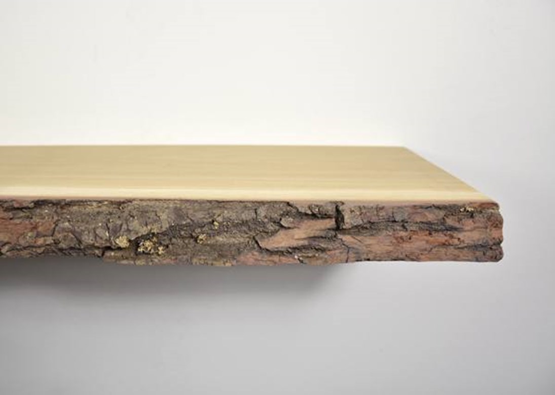 /media/1577/boomstam-wandplank-op-maat-met-schors.jpg?anchor=center&mode=crop&width=1095&rnd=132025691690000000