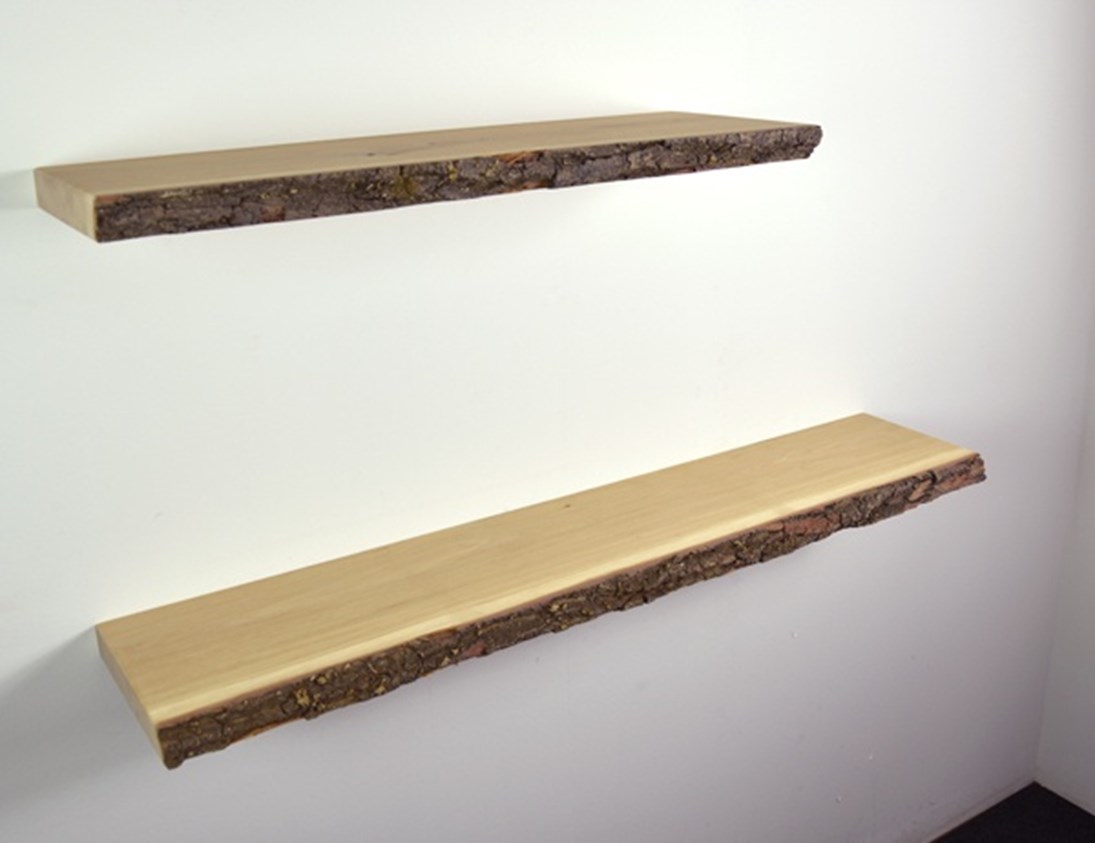 /media/1579/boomstam-wandplanken-op-maat-met-schors.jpg?anchor=center&mode=crop&width=1095&rnd=132025691700000000